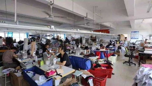 破解青年就业迷思 从“骑手围城”到“制造回归”的战略选择
